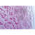 Histologia, 40 preparatów 1