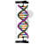 DNA, zestaw do konstruowania 1