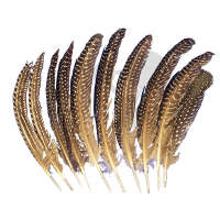 Zestaw 10 piór do huśtawki Długość 15-25 cm