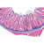 Histologia kręgowców (Vertebrata), 25 preparatów 1