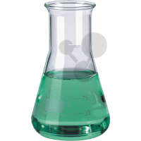 Erlenmeyer