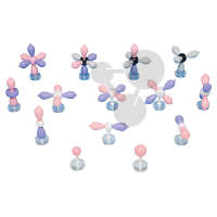 Zestaw atomowy 14 modeli MOLYMOD