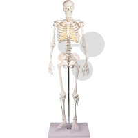 Szkielet miniaturowy, Premium