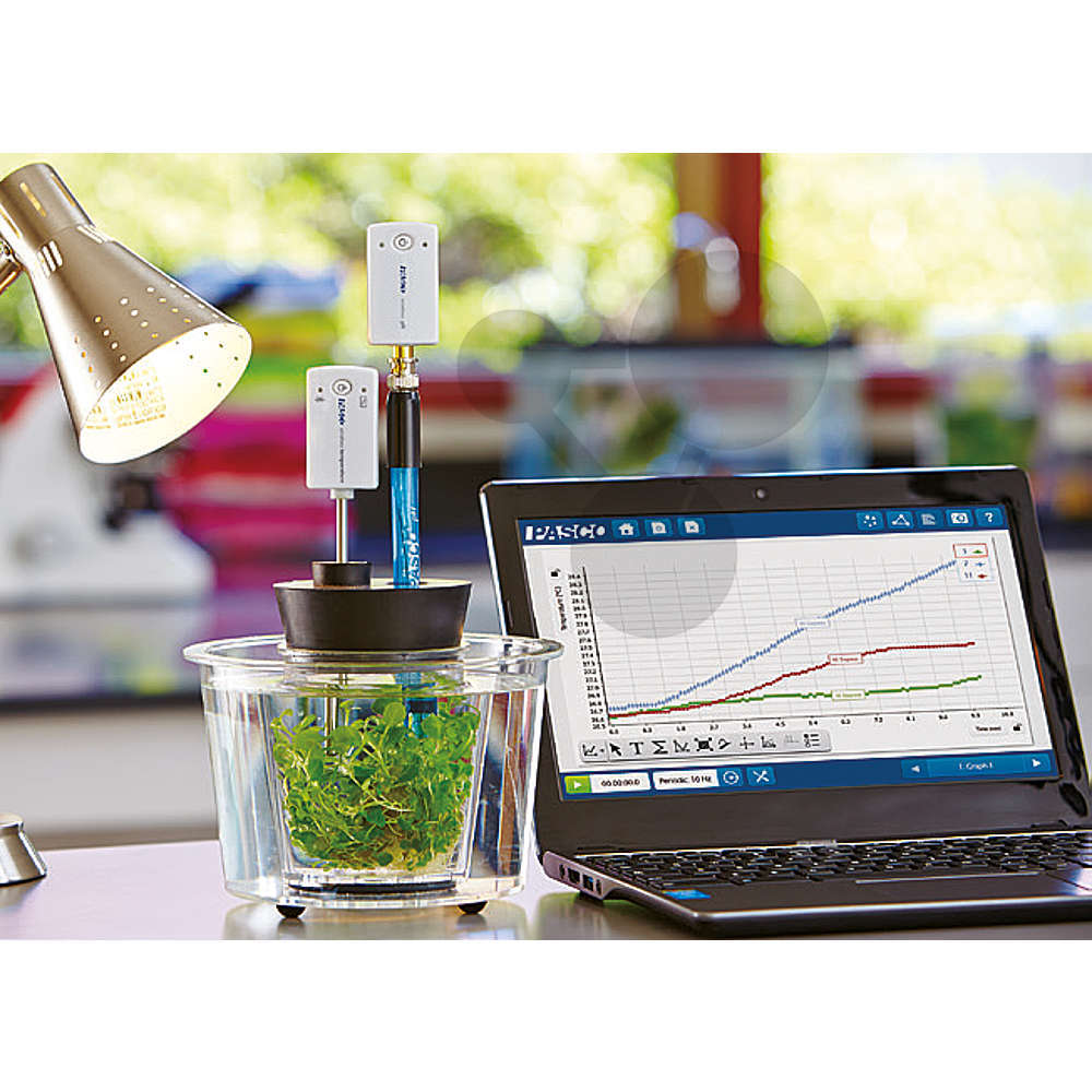 Czujniki: biologia, fizjologia